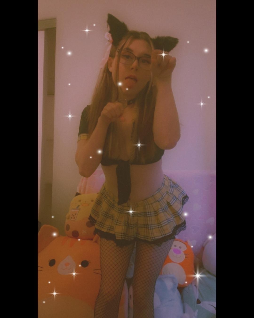 🐱 Baby Kitten Evie 🦄 profile image