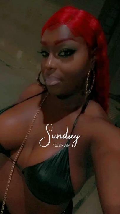 TS Anaconda profile image