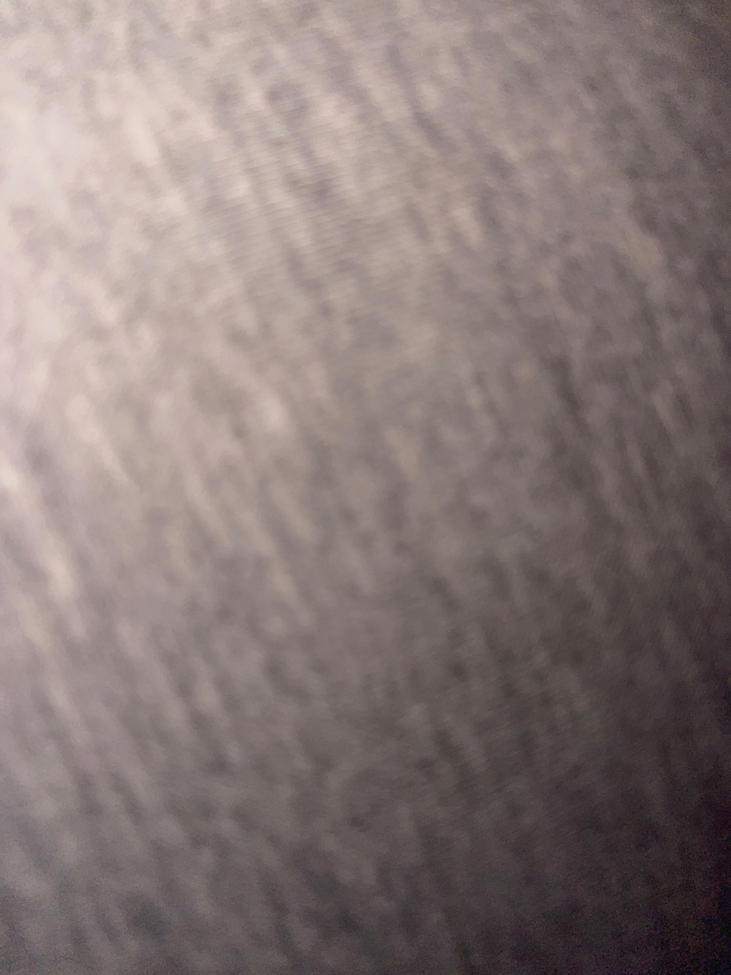 Blonde Mystery profile image