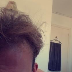 Herbert14 profile image