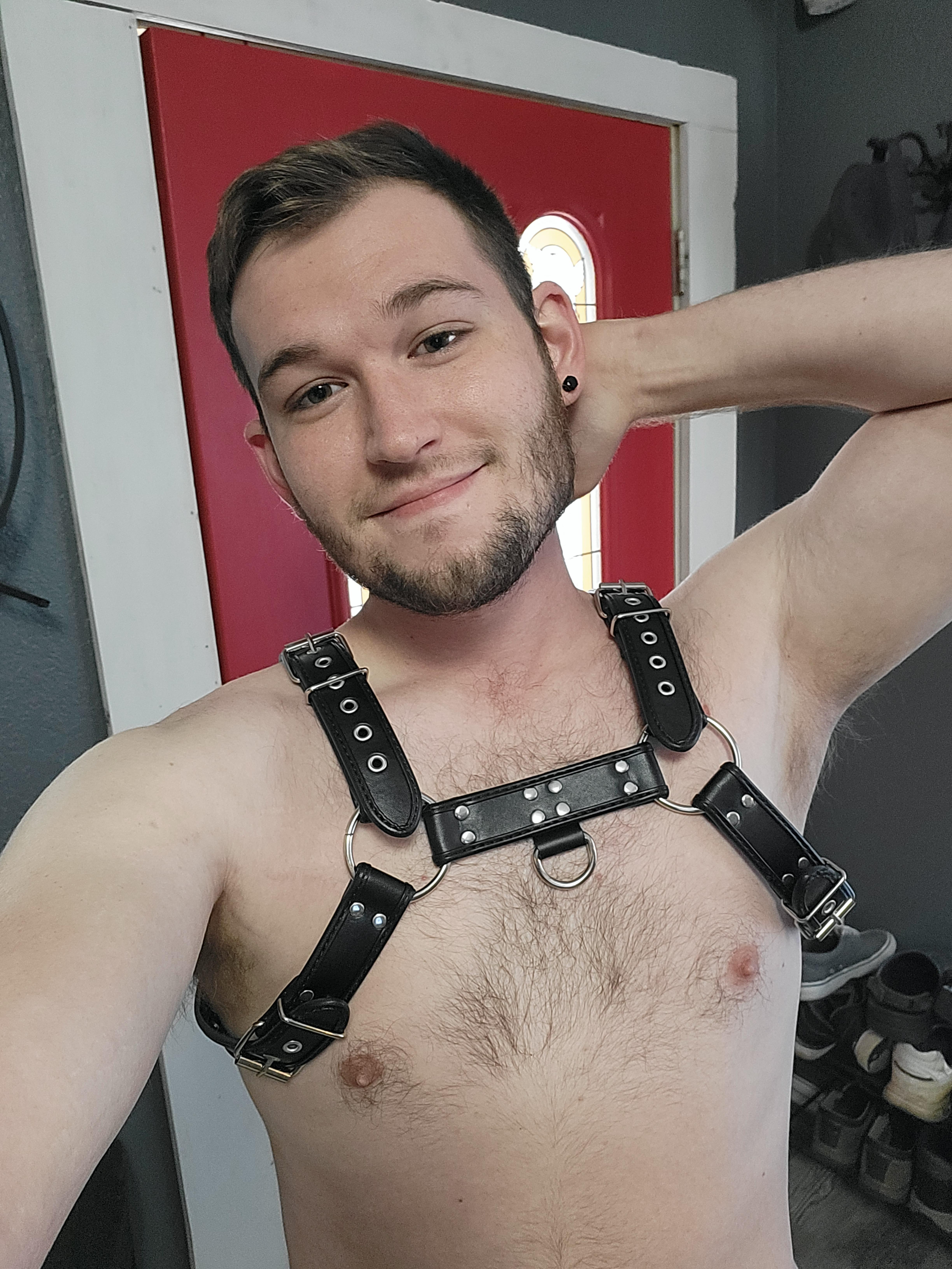 BearXBoi profile image