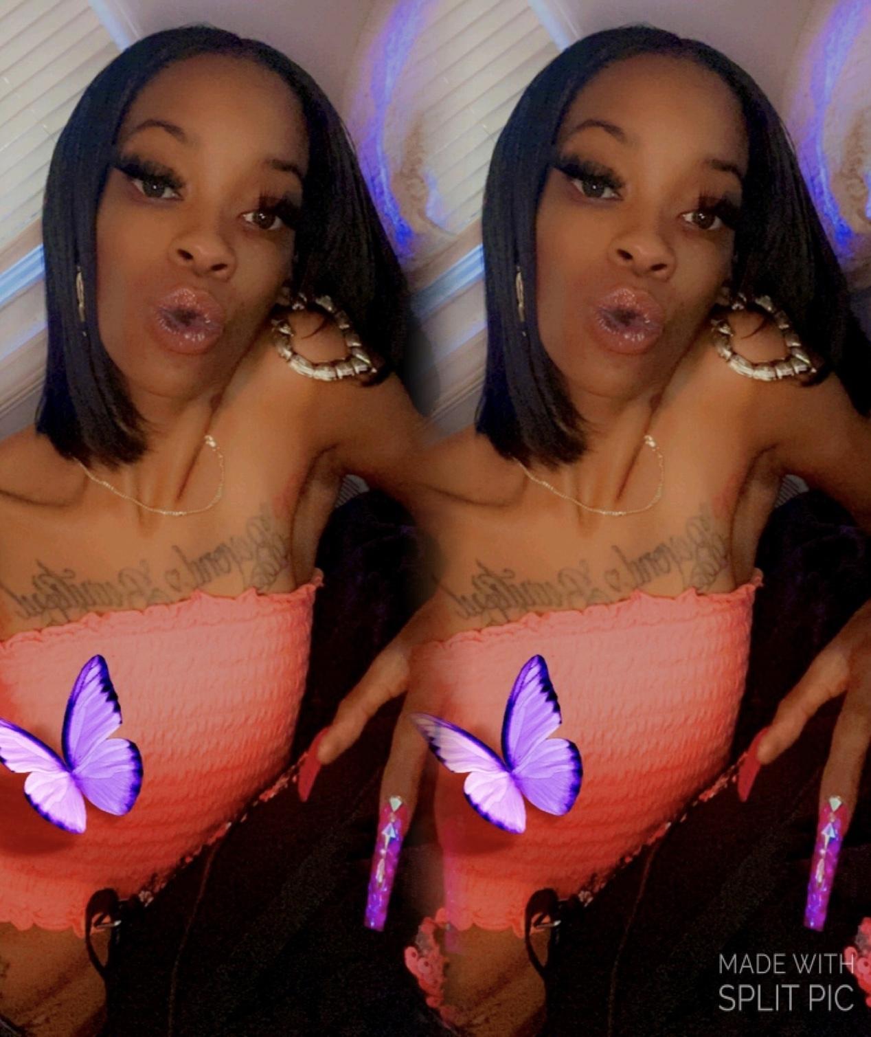 Snow ❄️ Storm profile image