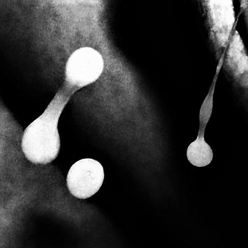 xxx : neu erotica profile image