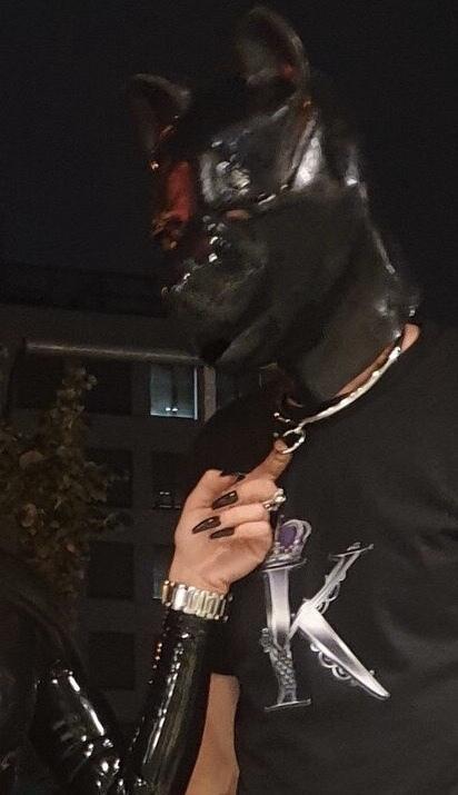 M Kennya’s Impresario profile image