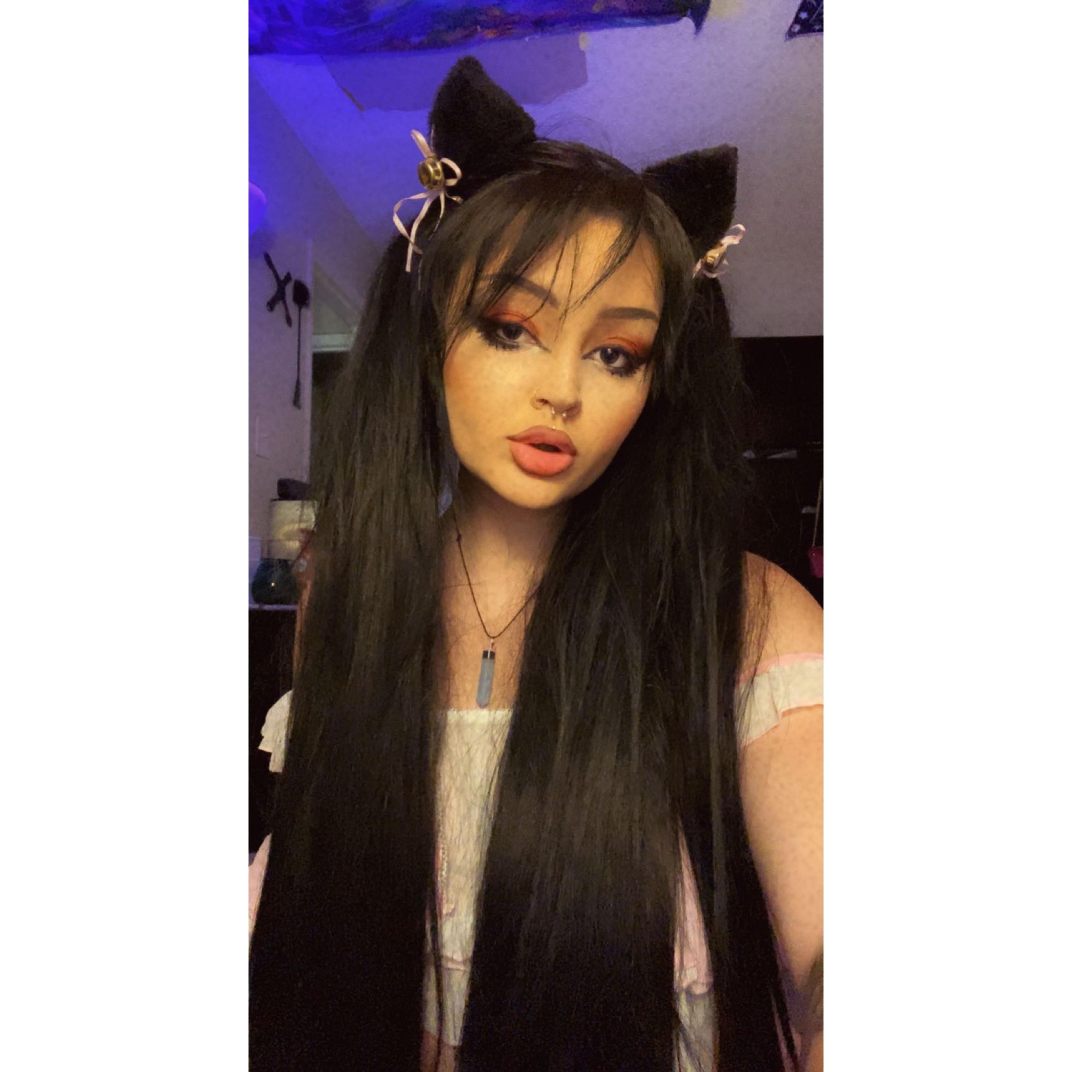 Butterfly profile image