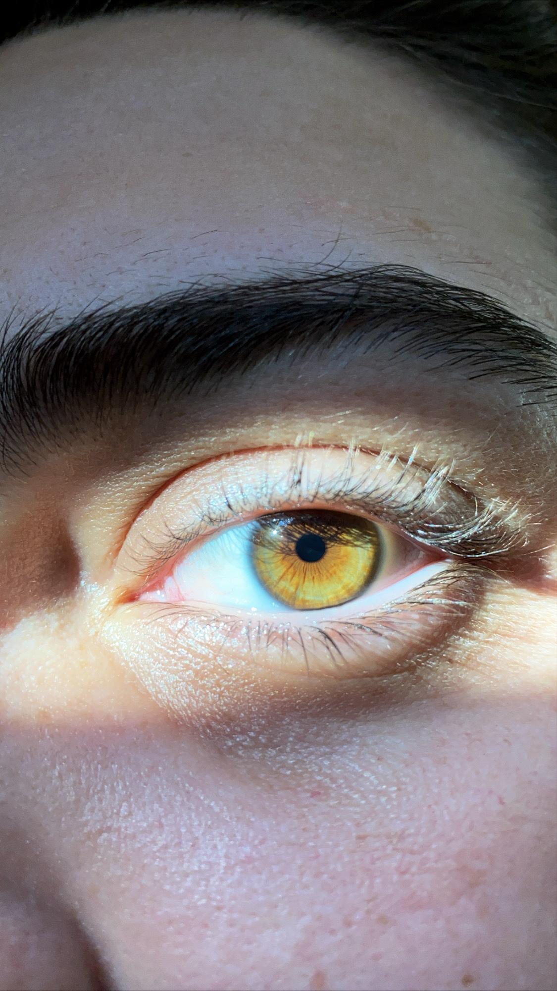 Mx Ophidia profile image