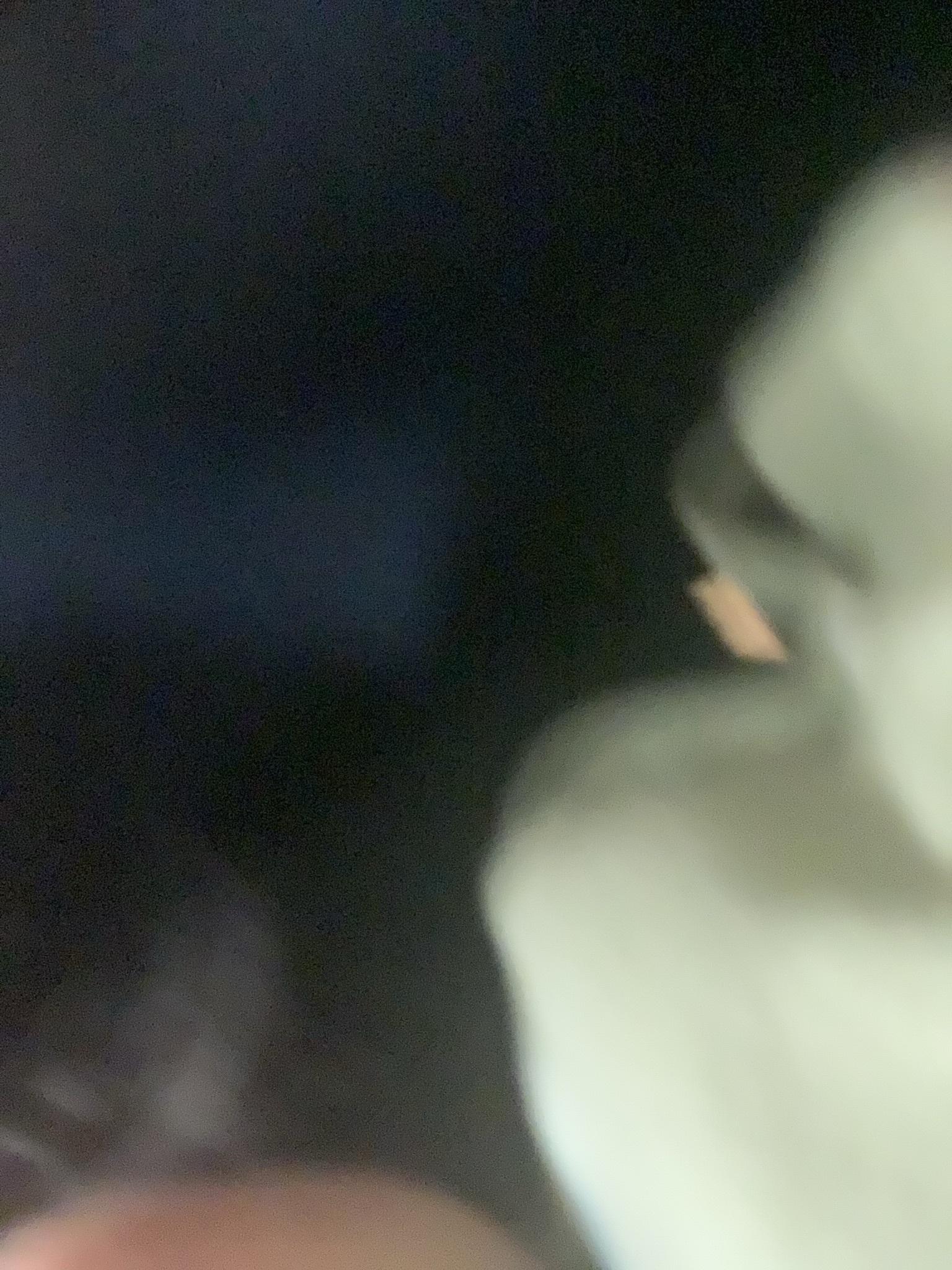 u16160523 profile image