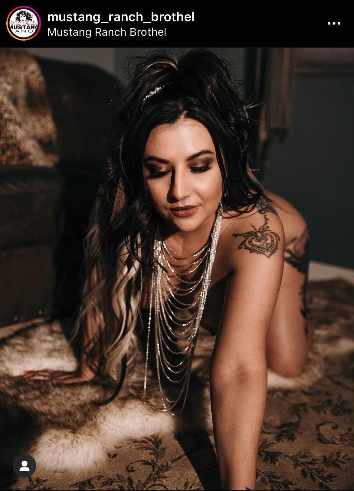 Velvet Dream Girl profile image