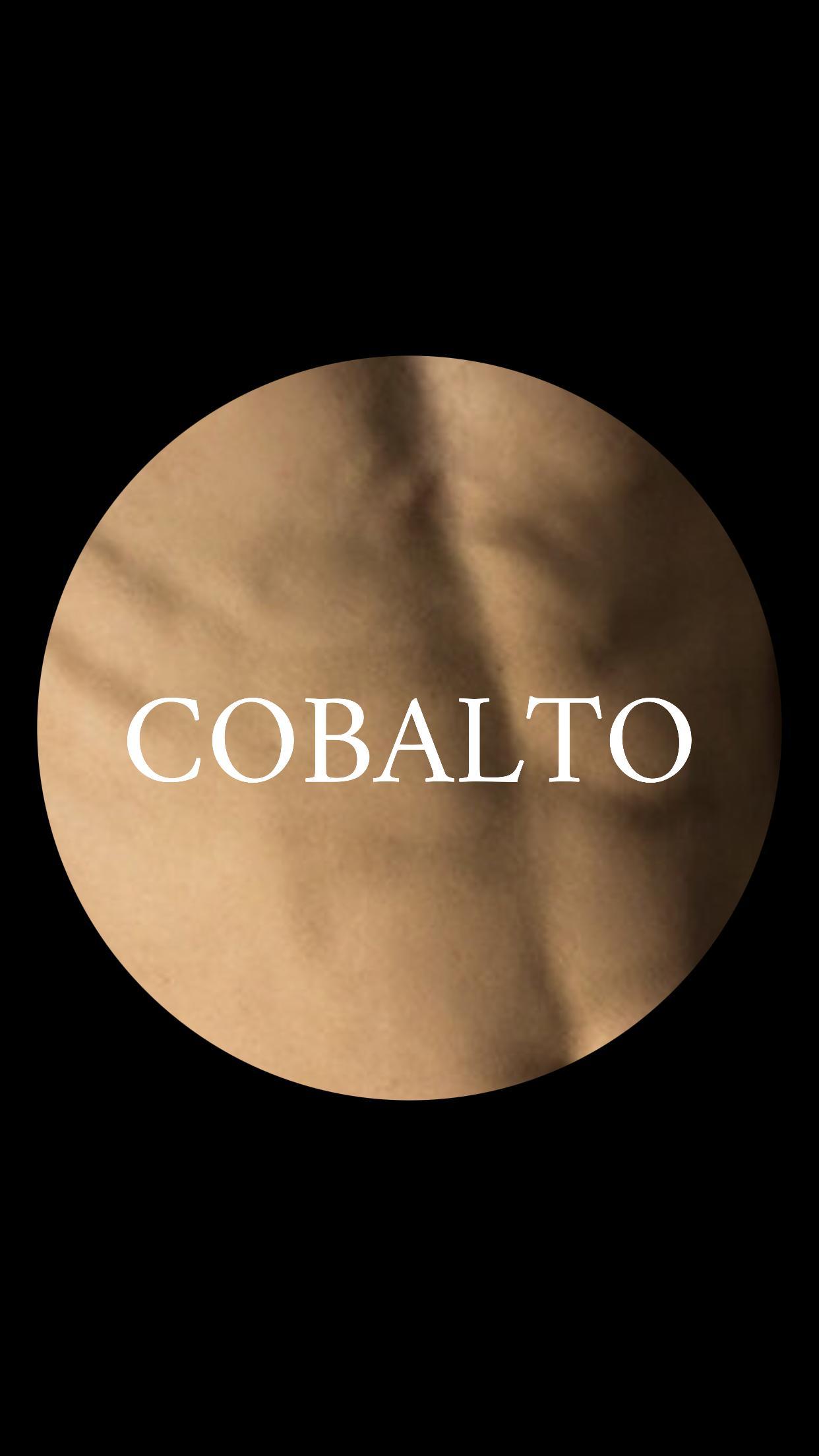 cobalto profile image