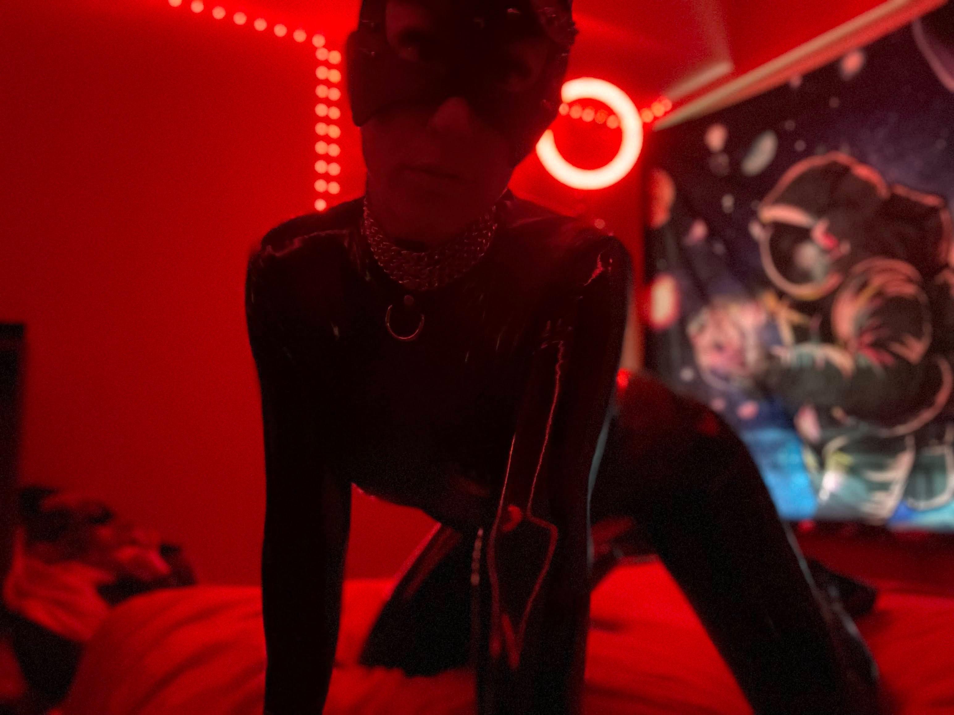 Miss Kitty Kat 😻 profile image