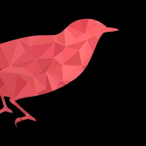 Corbeau Rouge profile image