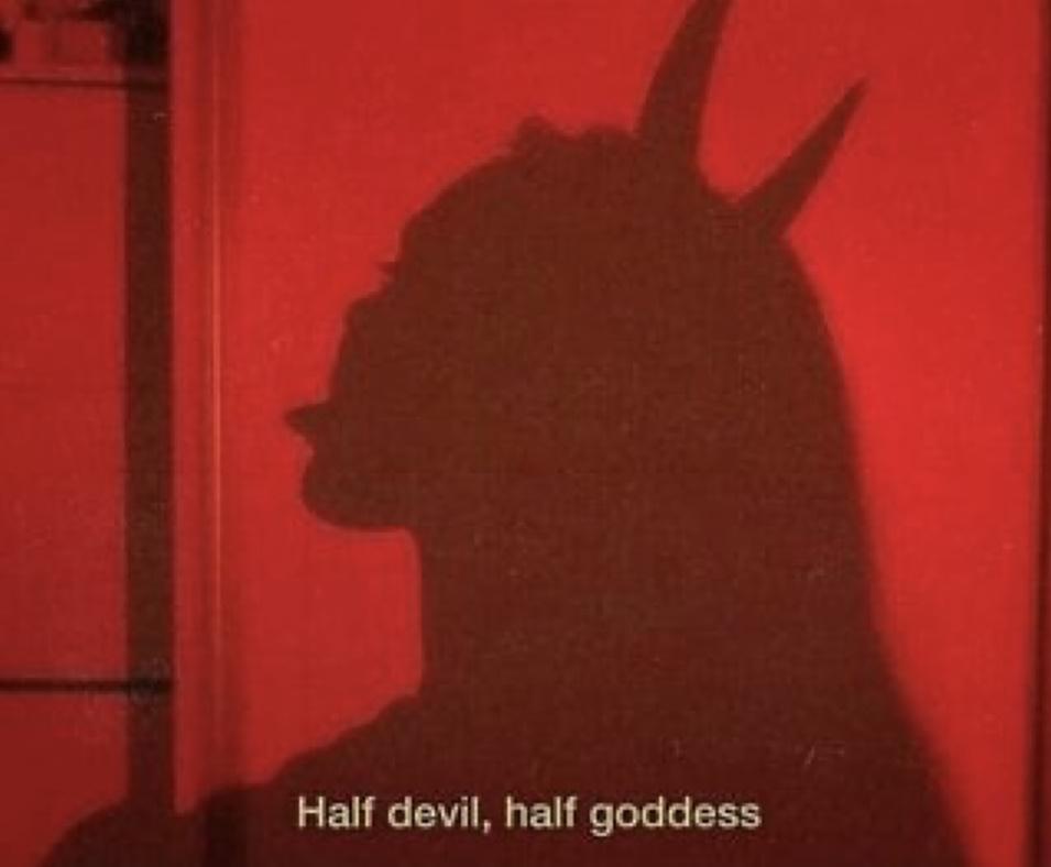 Xenon Nova 🔮✨ profile image