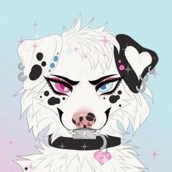 Dotti Pink profile image