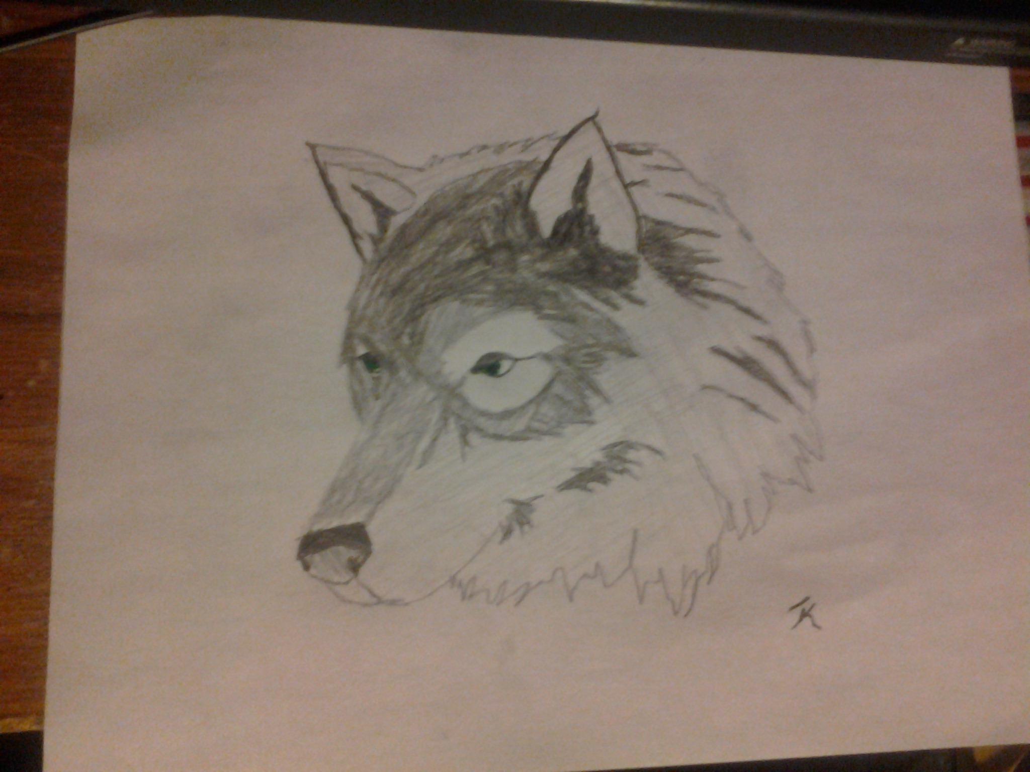 Big Bad Wolf profile image