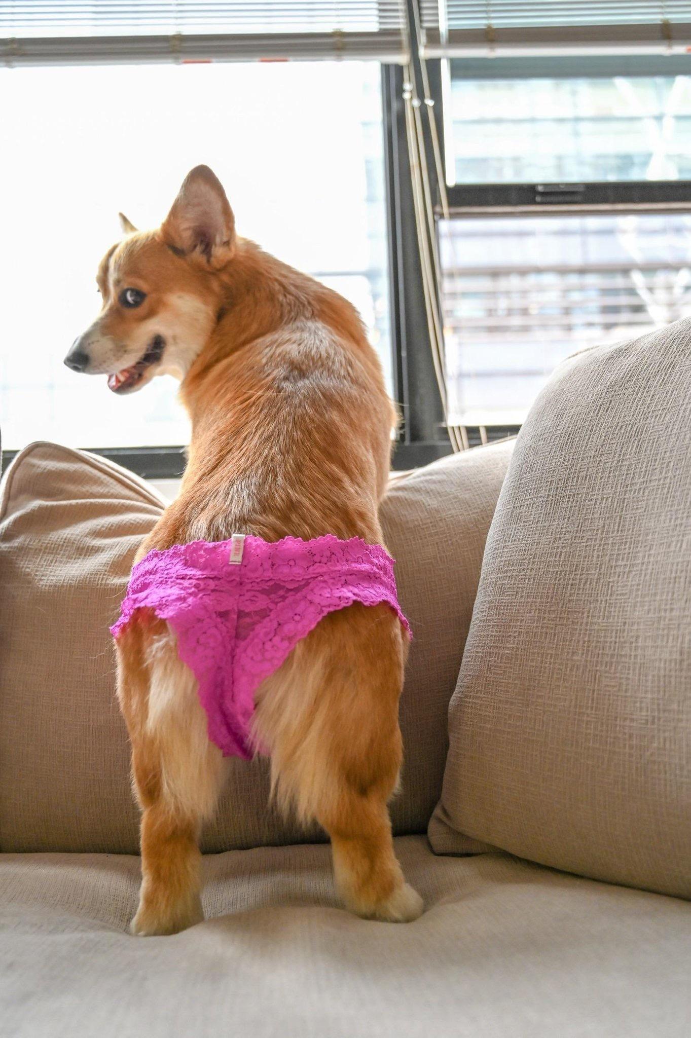 Tom Bombadil profile image