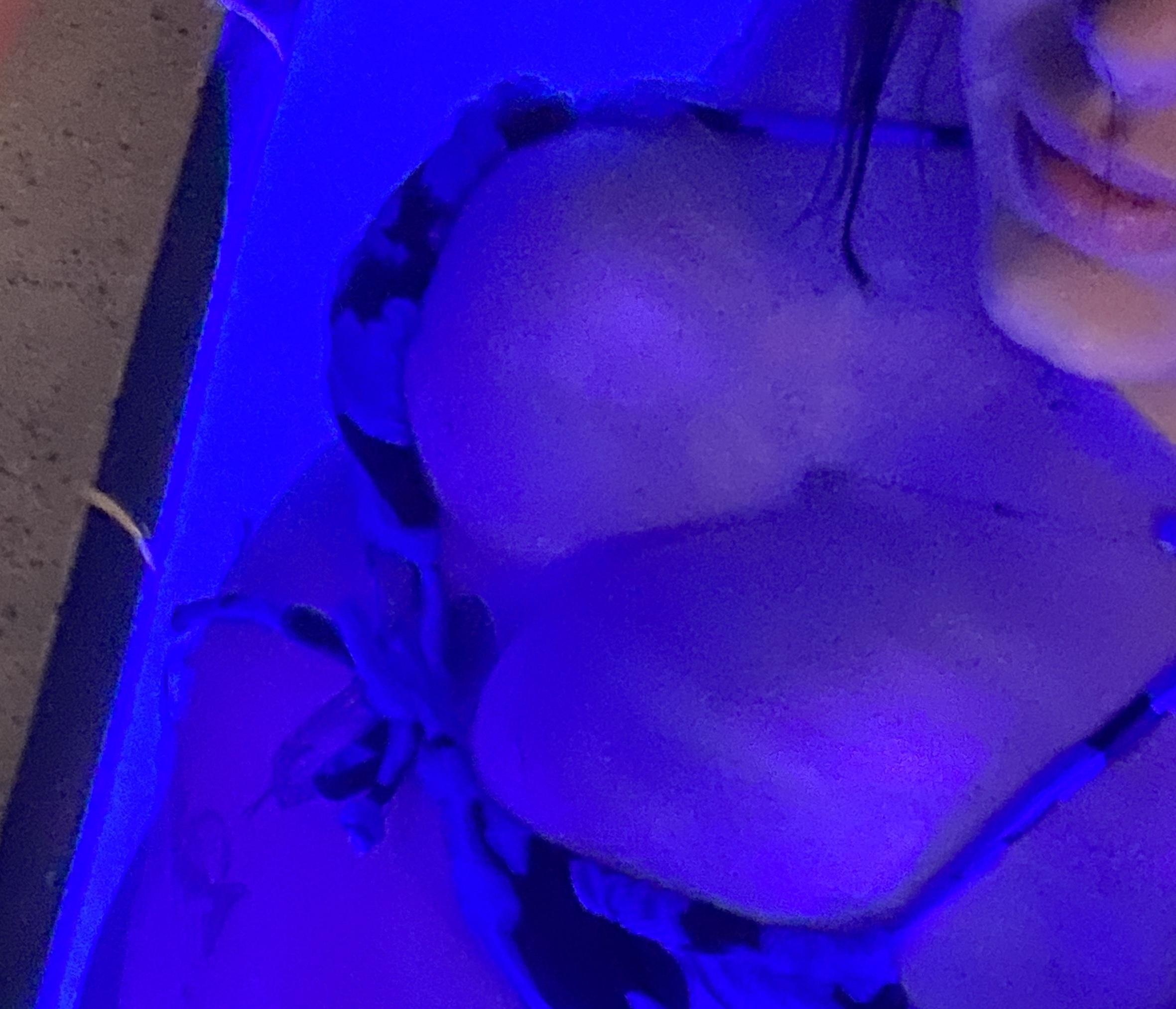 💖💖 profile image