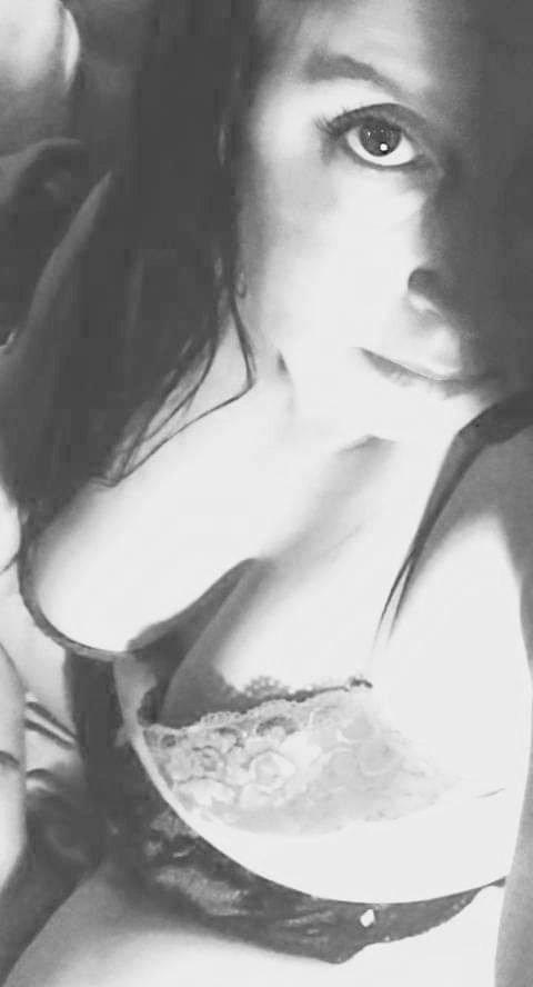 Porcelain Phoenix profile image