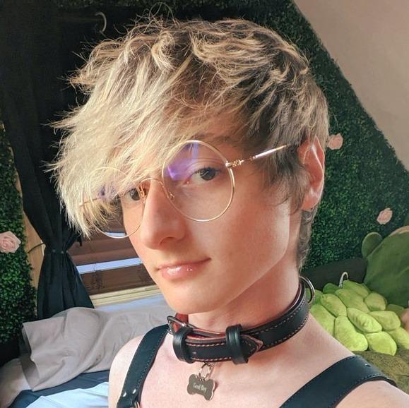 A Smol Cactus profile image