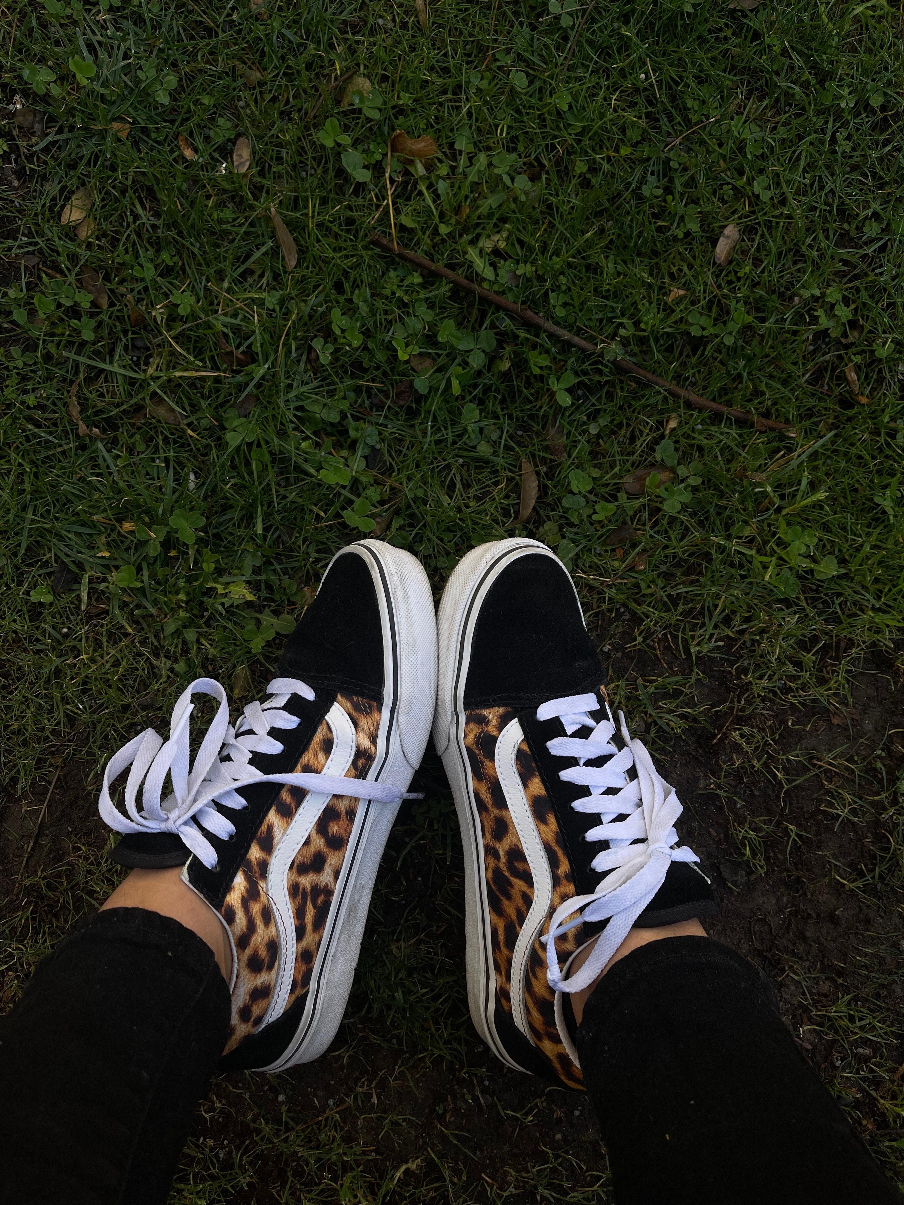 Septumami profile image