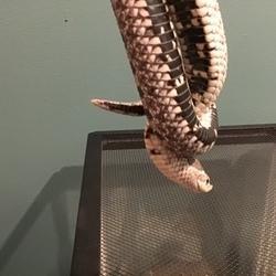 u8360874 profile image