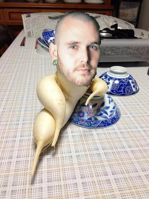 Matt Taylor profile image