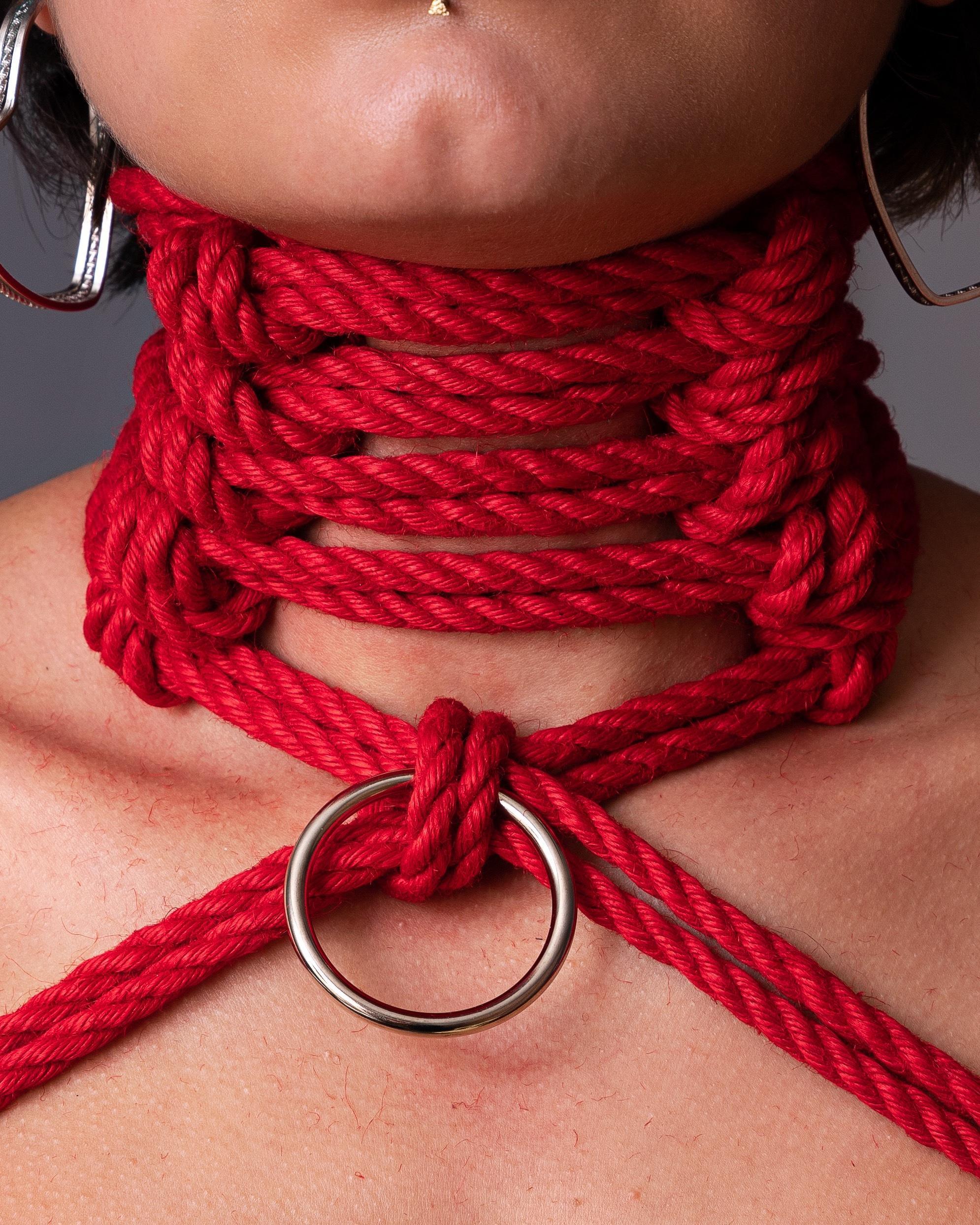 Texas Shibari profile image