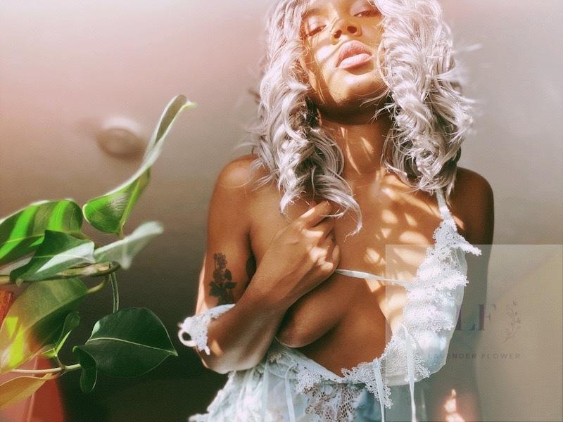 Lavender Flower FREE VIDEO TO NEW SUBS profile image