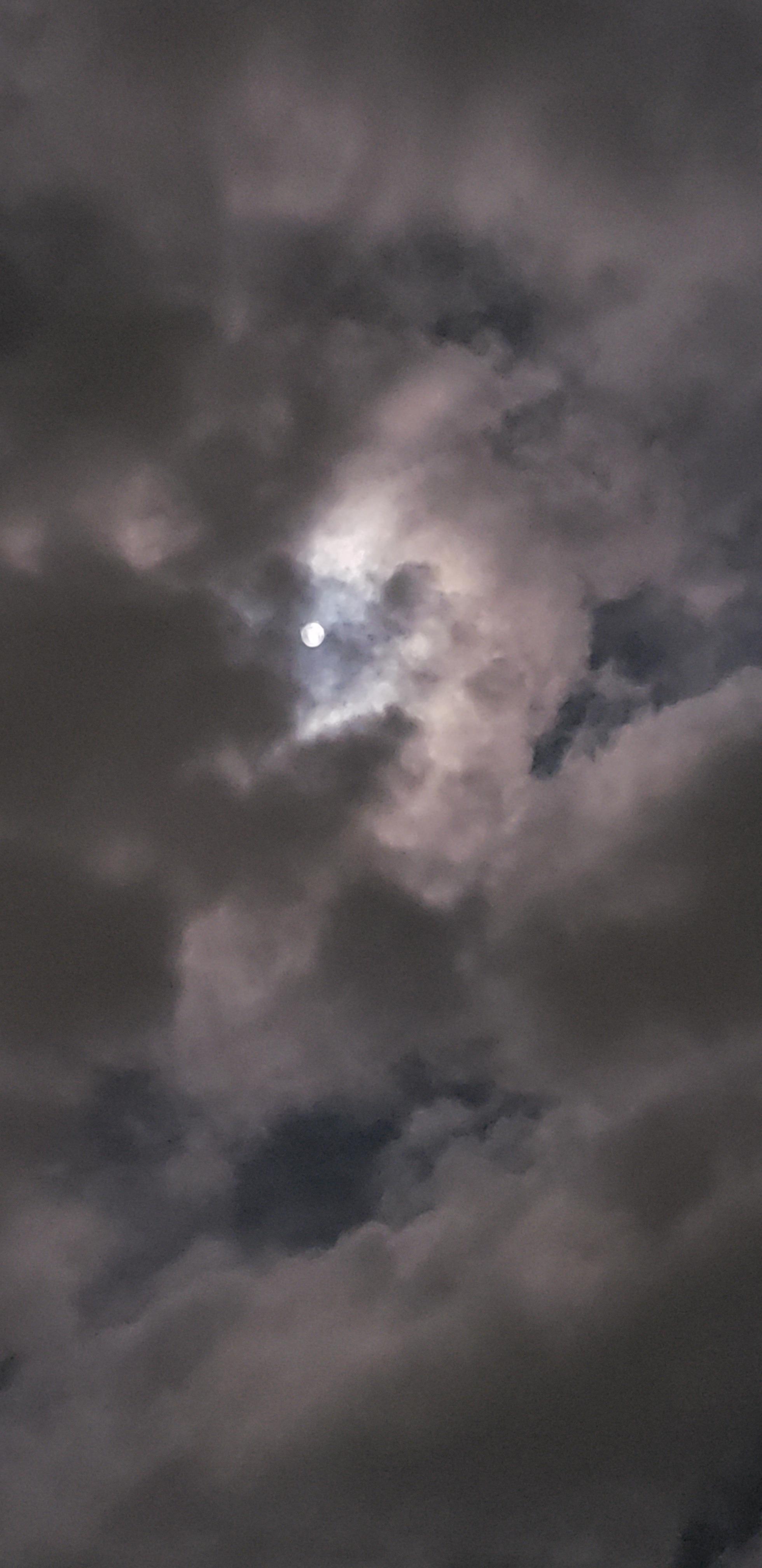 Little Lola profile image