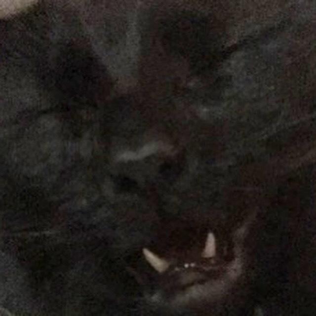 Trashy profile image