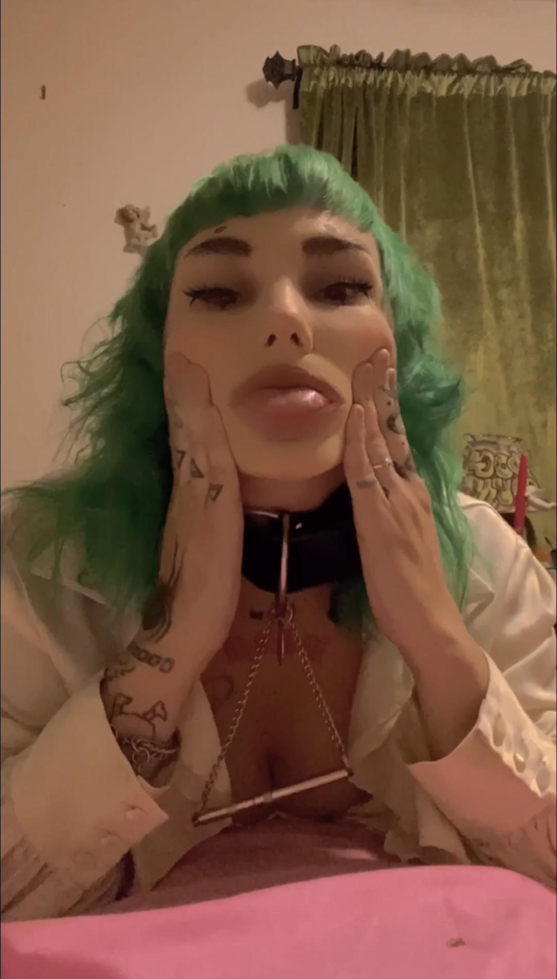 . * ･ ｡ﾟ Household Dog. * ･ ｡ﾟ profile image