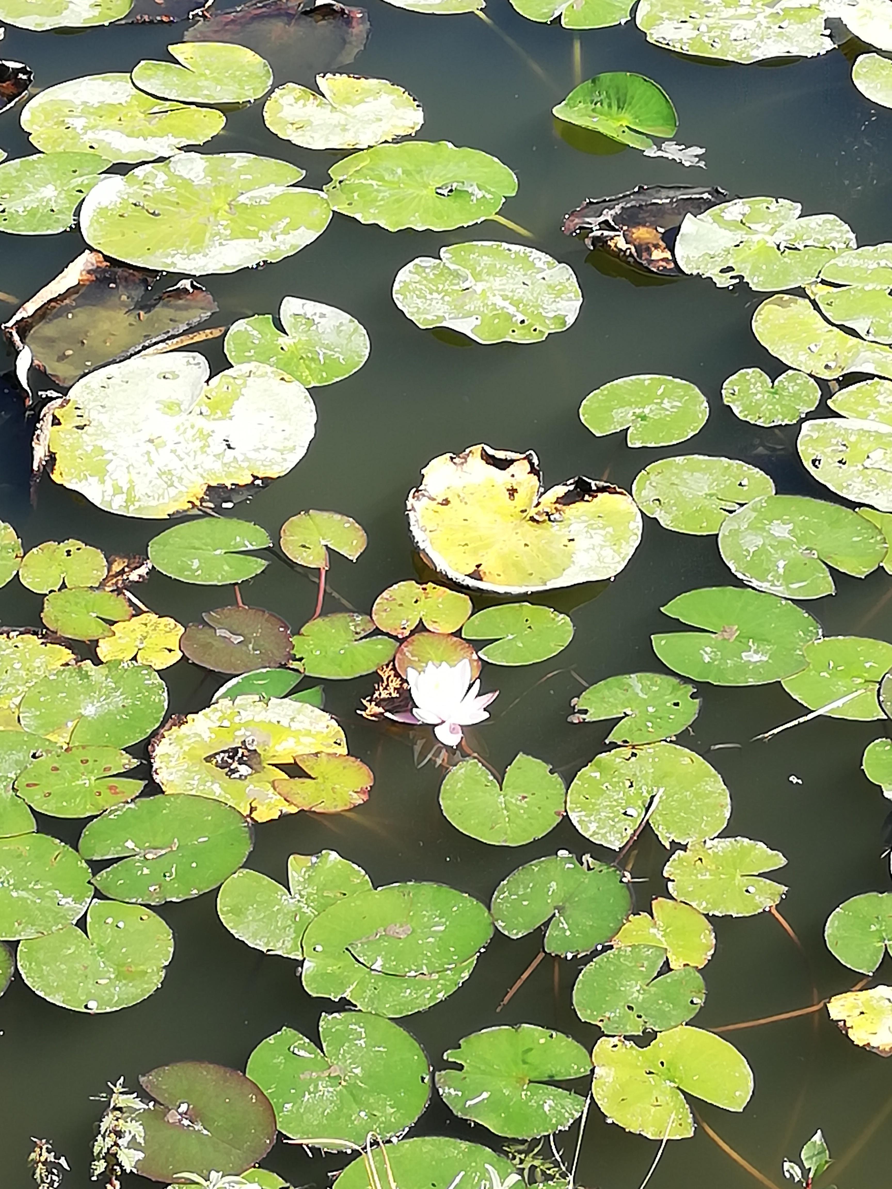 Lumy DMCA profile image