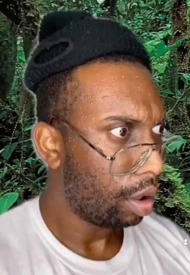 Sunshine LA profile image