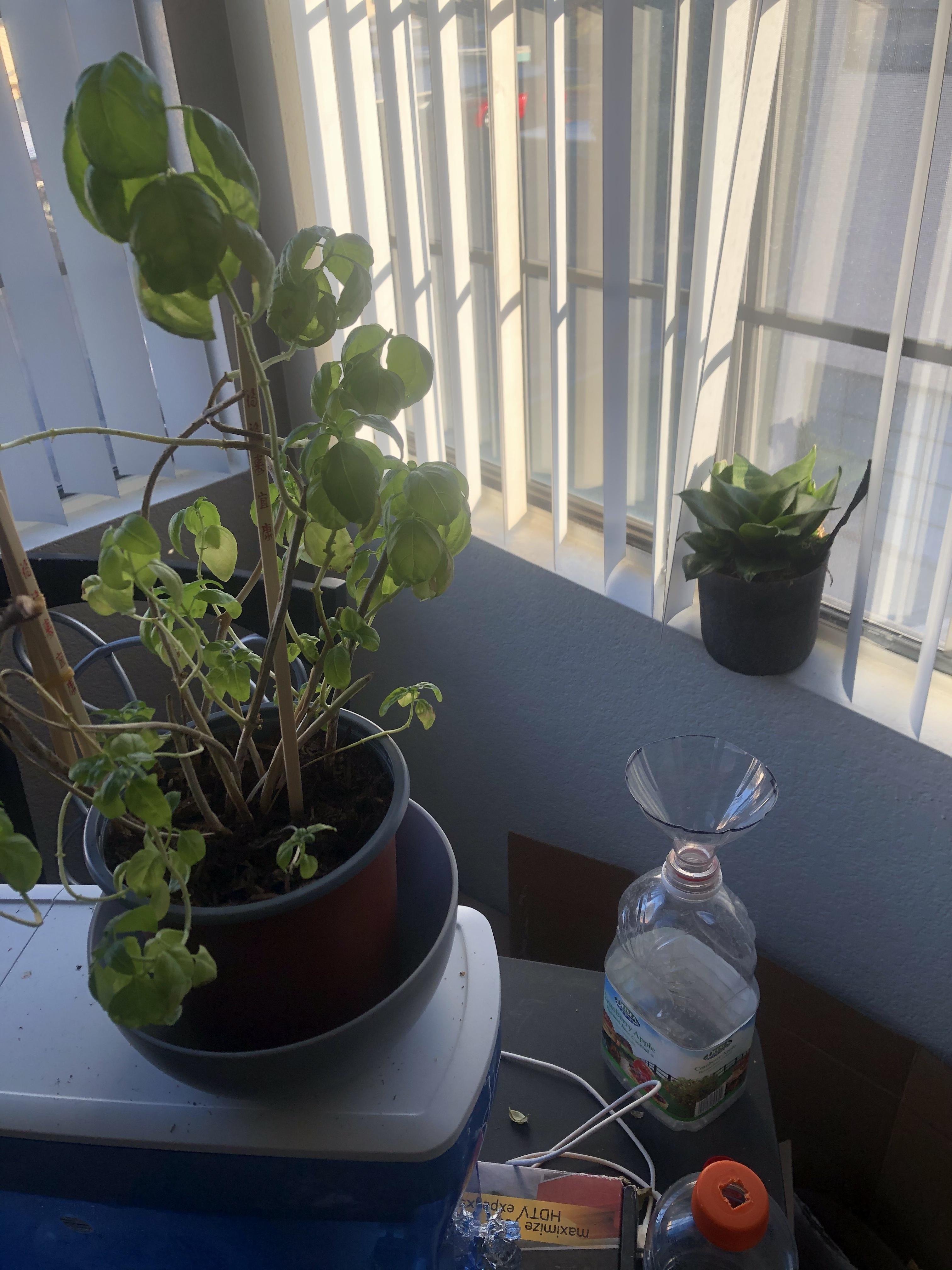 All the genitals! 🏳️‍🌈 profile image